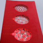 Atvirukas FS629cs - Image 3