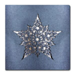 Atvirukas FS724gm - Image 2