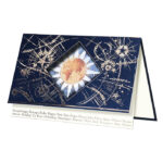 Kalėdinis sveikinimas įvairiomis kalbomis