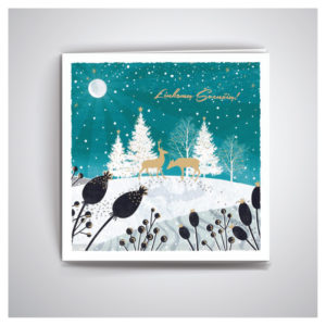 Šventinis atvirukas su žiemos vaizdu