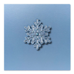 Kalėdinis atvirukas 65240