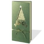 Kalėdinis atvirukas FS1050z